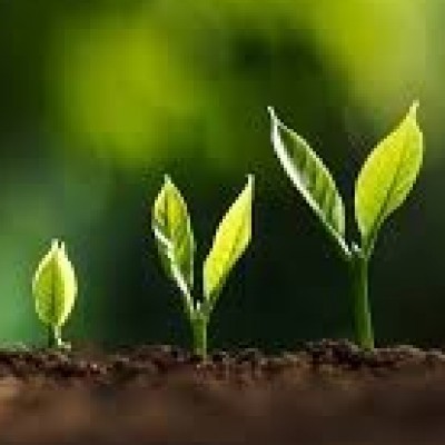 Genesis Example Growth - Christian Growth - An example of Apostle Peter · Nelson Covenant Church